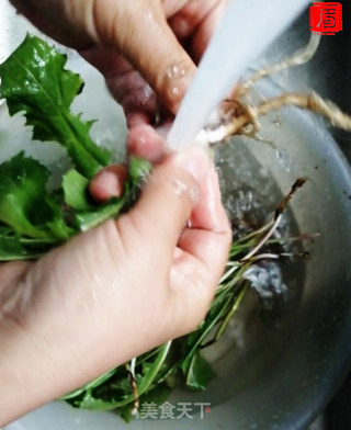 消炎止痛的蒲公英茶的做法步骤：1