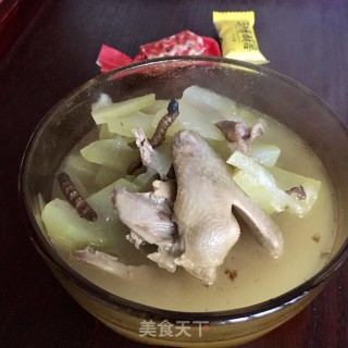 冬瓜虫草鸽子汤的做法步骤：8