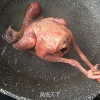 玛卡炖鸽子的做法步骤：6