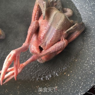 玛卡炖鸽子的做法步骤：7