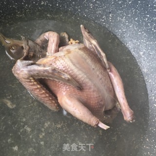 玛卡炖鸽子的做法步骤：8