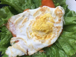 鸽肉版生菜三明治的做法步骤：10