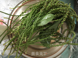 车前草茶饮的做法步骤：2