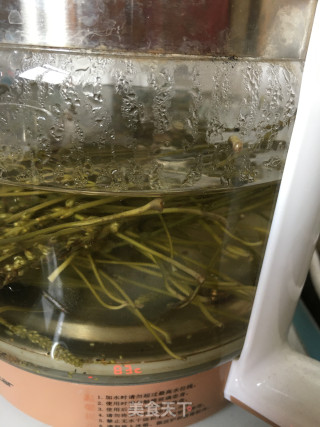 车前草茶饮的做法步骤：5