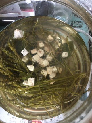 车前草茶饮的做法步骤：7