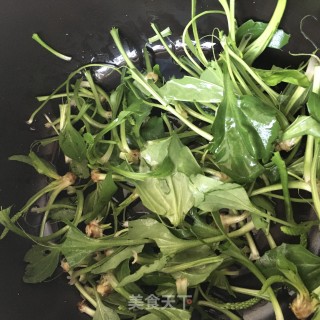 车前草鹌鹑汤的做法步骤：4