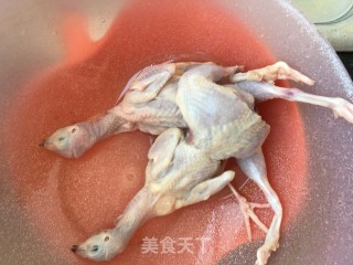 车前草鹌鹑汤的做法步骤：5