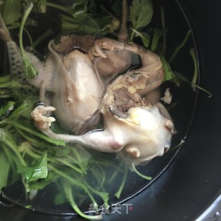 车前草鹌鹑汤的做法步骤：10