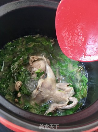 车前草鹌鹑汤的做法步骤：15