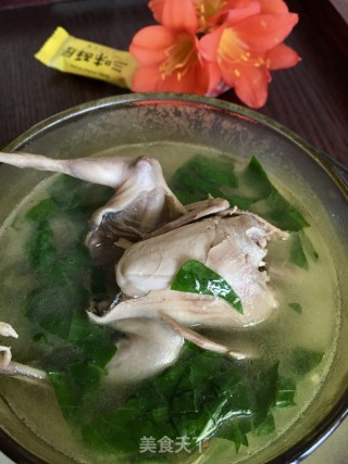 车前草鹌鹑汤的做法步骤：16