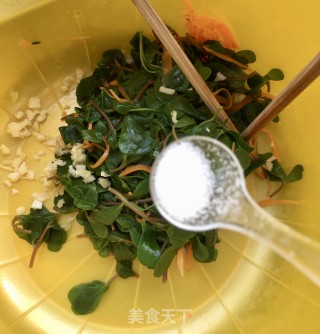 凉拌马齿苋的做法步骤：12