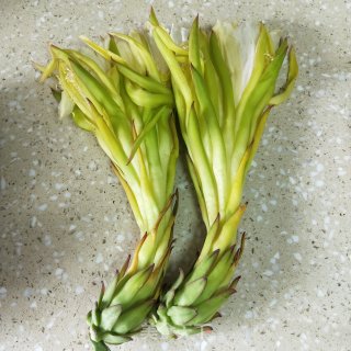 霸王花瘦肉汤的做法步骤：1