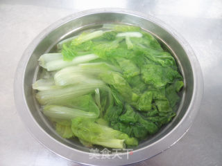 白灼快菜的做法步骤：4