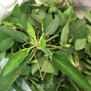 鹌鹑堇菜汤的做法步骤：1