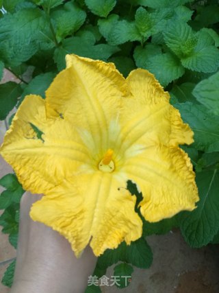 鲜花二米粥的做法步骤：1