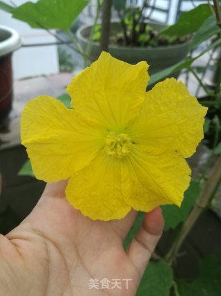 鲜花二米粥的做法步骤：2