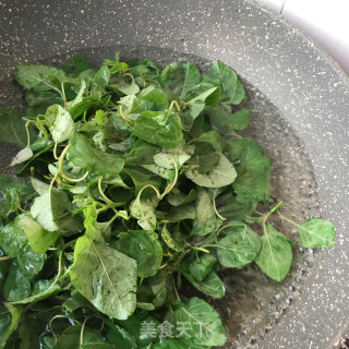 肉末苋菜炖豆腐的做法步骤：5
