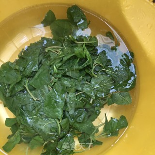 肉末苋菜炖豆腐的做法步骤：7