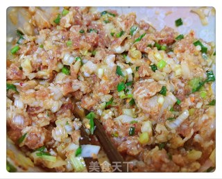 香辣大葱猪肉包子的做法步骤：3