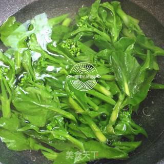 白灼芥兰的做法步骤：8