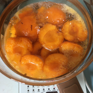 蜜杏花酿冷饮的做法步骤：8