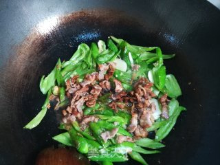 辣椒炒肉的做法步骤：6
