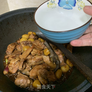 鸡肉焖板栗????大口吃肉的做法步骤：8