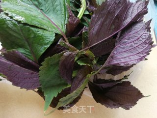 紫苏叶卷黑椒牛肉的做法步骤：1