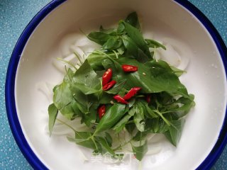 荆芥拌洋葱的做法步骤：6