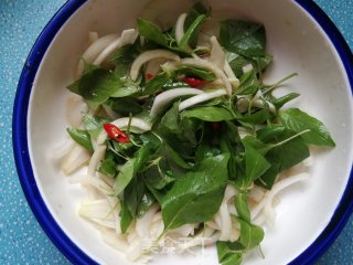 荆芥拌洋葱的做法步骤：8