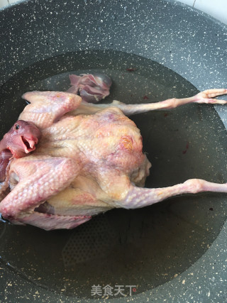 白玉菇炖鸽子的做法步骤：1