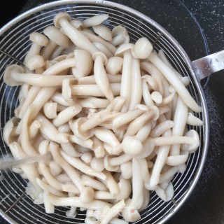白玉菇炖鸽子的做法步骤：8