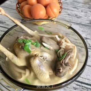 白玉菇炖鸽子的做法步骤：15