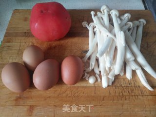 西红柿鸡蛋炒白玉菇的做法步骤：1