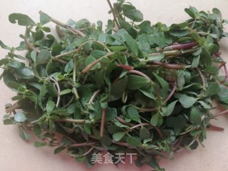 蒜瓣辣椒炒马齿苋的做法步骤：1