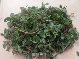 蒜瓣辣椒炒马齿苋的做法步骤：2