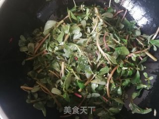 蒜瓣辣椒炒马齿苋的做法步骤：5