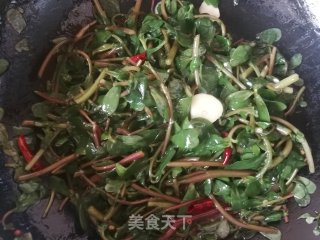 蒜瓣辣椒炒马齿苋的做法步骤：6