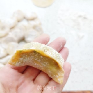 全麦韭菜鸡蛋饺子的做法步骤：16