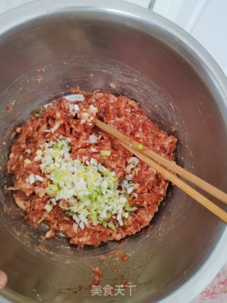 茴香馅水饺的做法步骤：3
