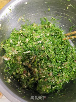 茴香馅水饺的做法步骤：9