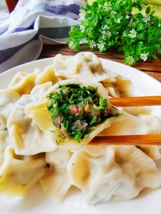 茴香馅水饺的做法步骤：15