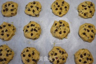 黄油巧克力曲奇的做法步骤：9