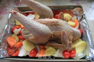 烤鸡的做法步骤：6