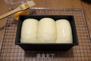 波兰种老面低糖吐司的做法步骤：13