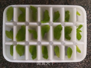 薄荷雪碧的做法步骤：2