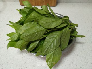 蒜蓉炒明月草的做法步骤：2
