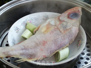 清蒸红时鱼的做法步骤：6