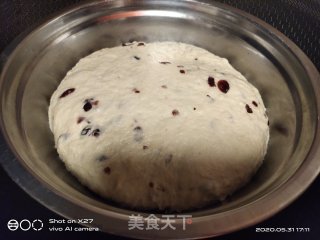 蔓越莓啤酒面包的做法步骤：5