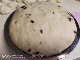 蔓越莓啤酒面包的做法步骤：6